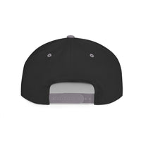 "Two wings on the same dirty, dirty bird" Flat Bill Snapback Hat.